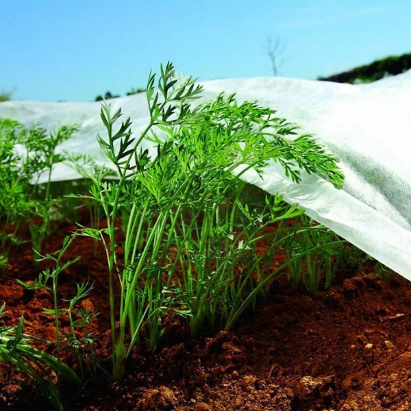 Tela de protección para cultivos-bobina 2 x 20 m 17gr/m²